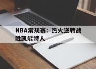 M6体育下载-NBA常规赛：热火逆转战胜凯尔特人